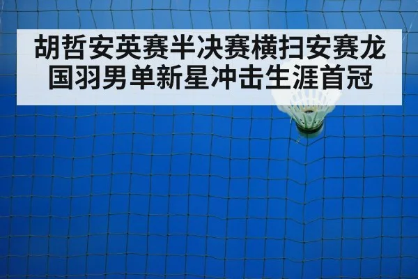 badminton net shot